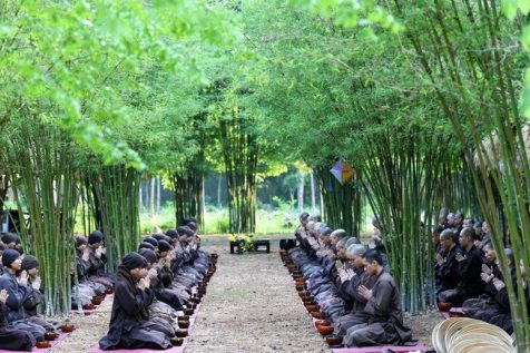 Tăng thân tu viện Vườn Ươm tổ chức Ngày quán niệm trực tuyến